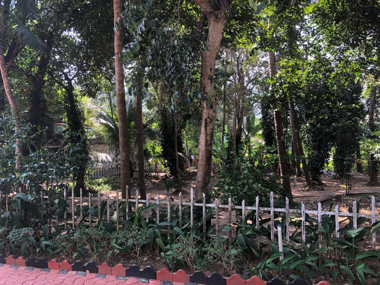Ayuryogashram Heritage Thrissur Extérieur photo